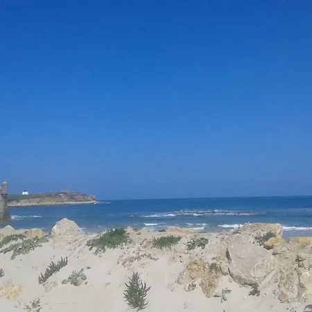 Gamboa-frente A بينيش